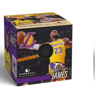 LeBron James NIL collectible cube